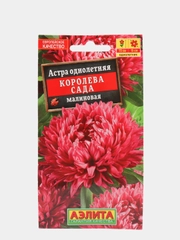 Семена Астра "Королева сада" малиновая