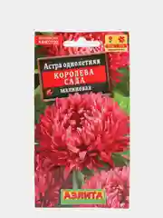 Семена Астра "Королева сада" малиновая