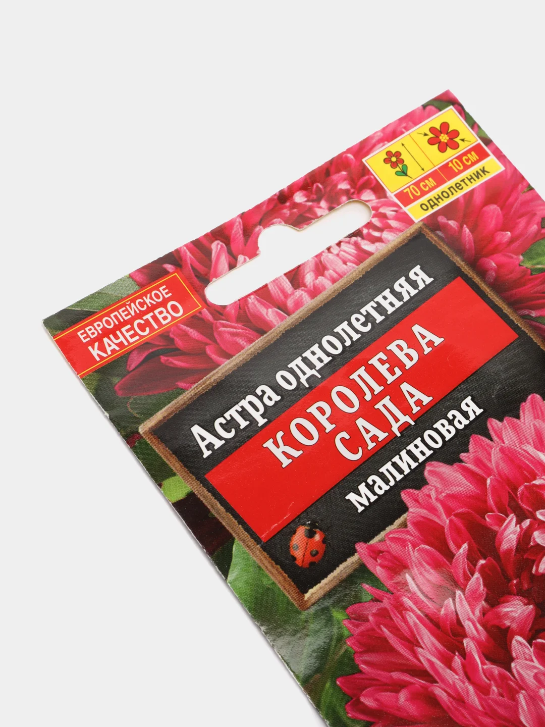 Семена Астра "Королева сада" малиновая