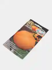 Семена Тыква "Дынная"
