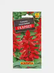 Семена Сальвия сверкающая "Скарлет" набор 1, 3, 5 уп