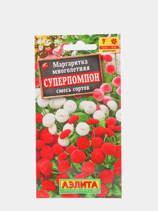 Маргаритки Семена Купить