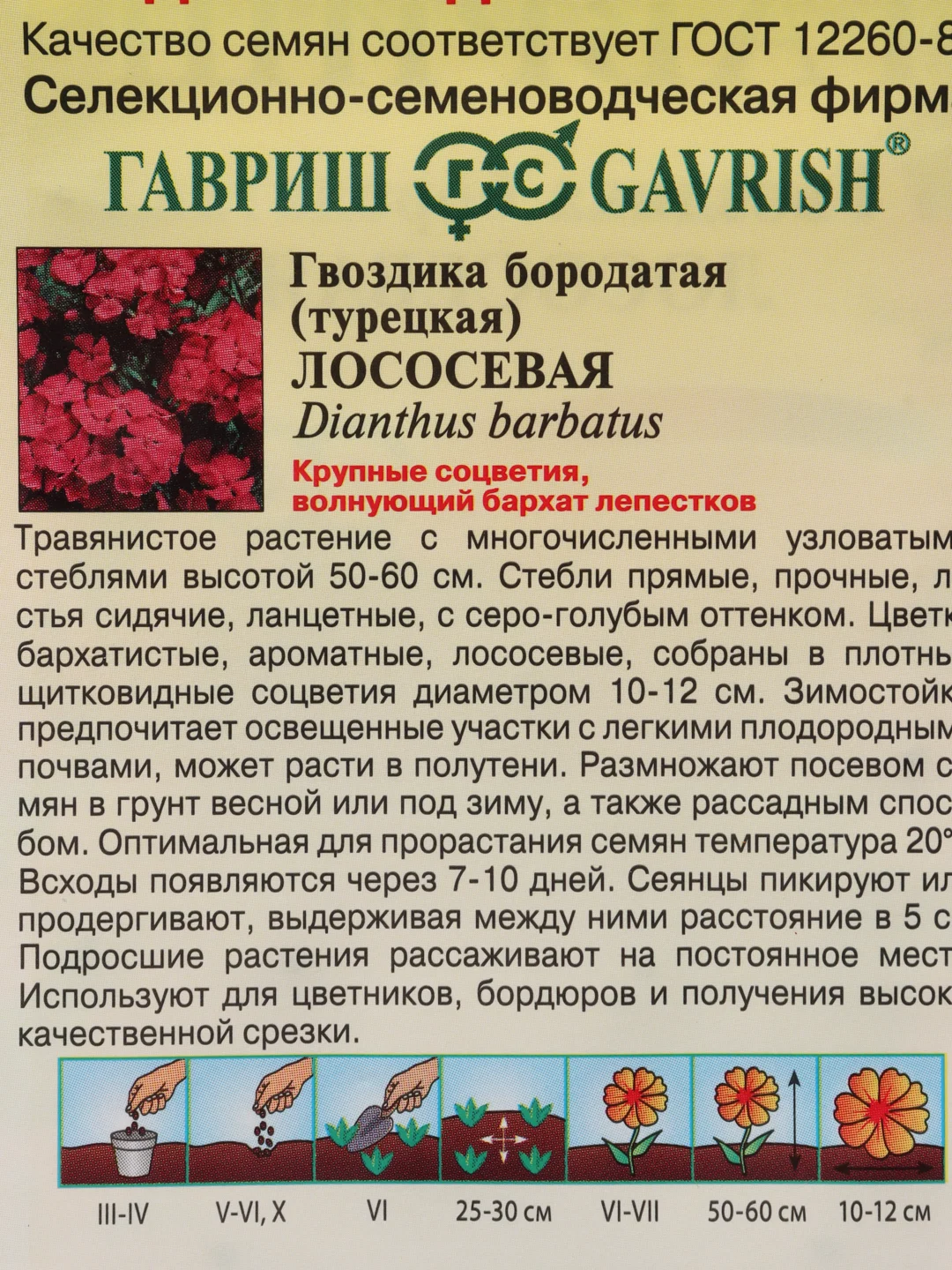 Семена Гвоздика бородатая "Лососевая" набор 1, 3, 5 уп