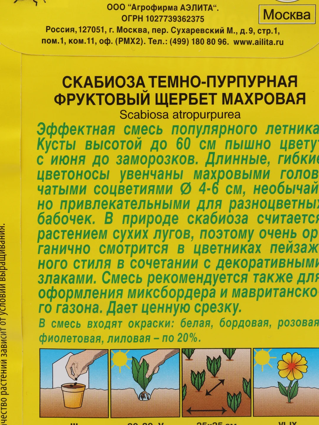 Семена Скабиоза смесь окрасок "Фруктовый щербет" набор 1, 3, 5 уп