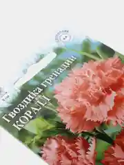 Семена Гвоздика гренадин "Коралл" набор 1, 3, 5 уп