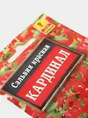 Семена Сальвия "Кардинал"