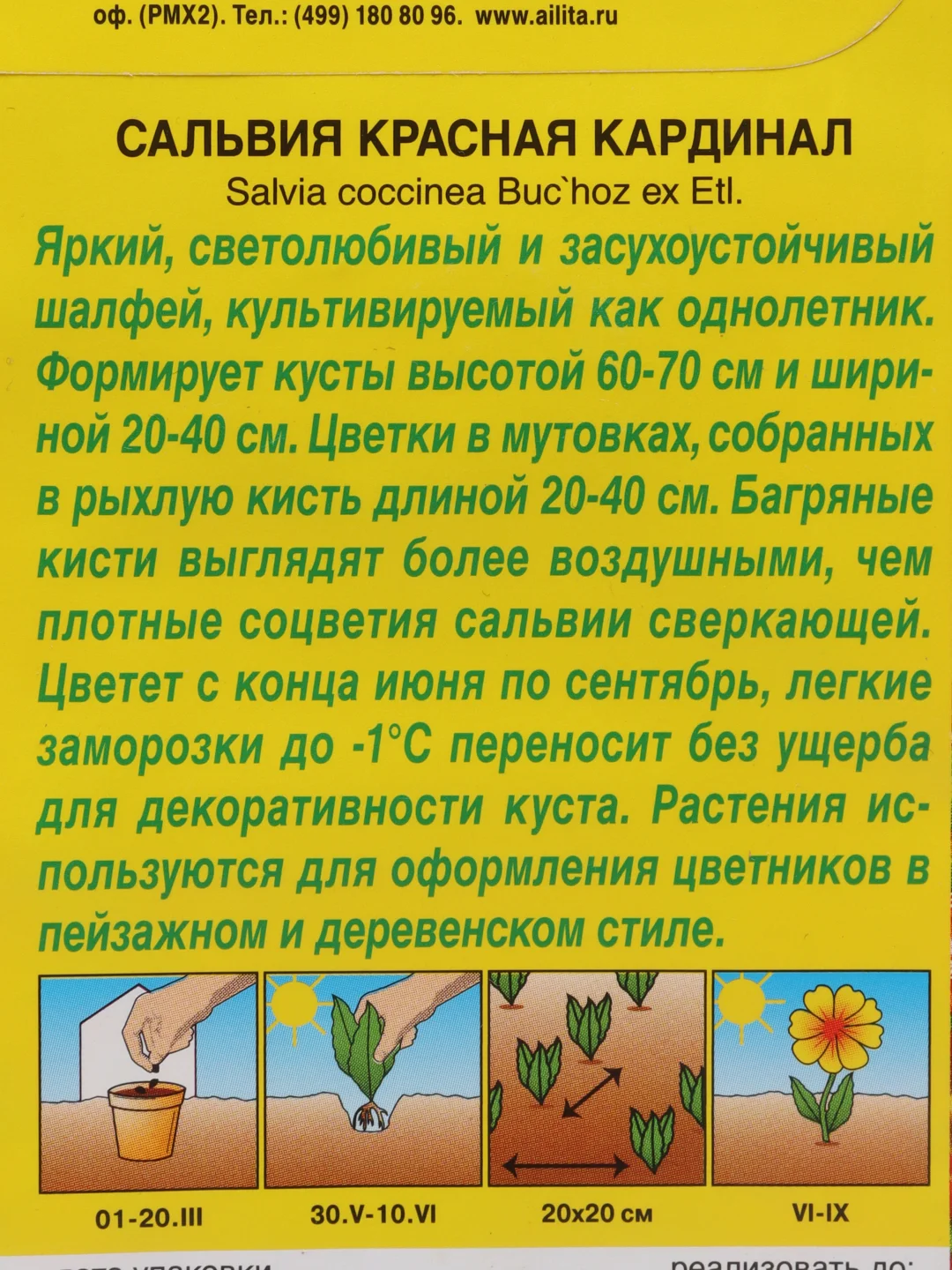 Семена Сальвия "Кардинал"