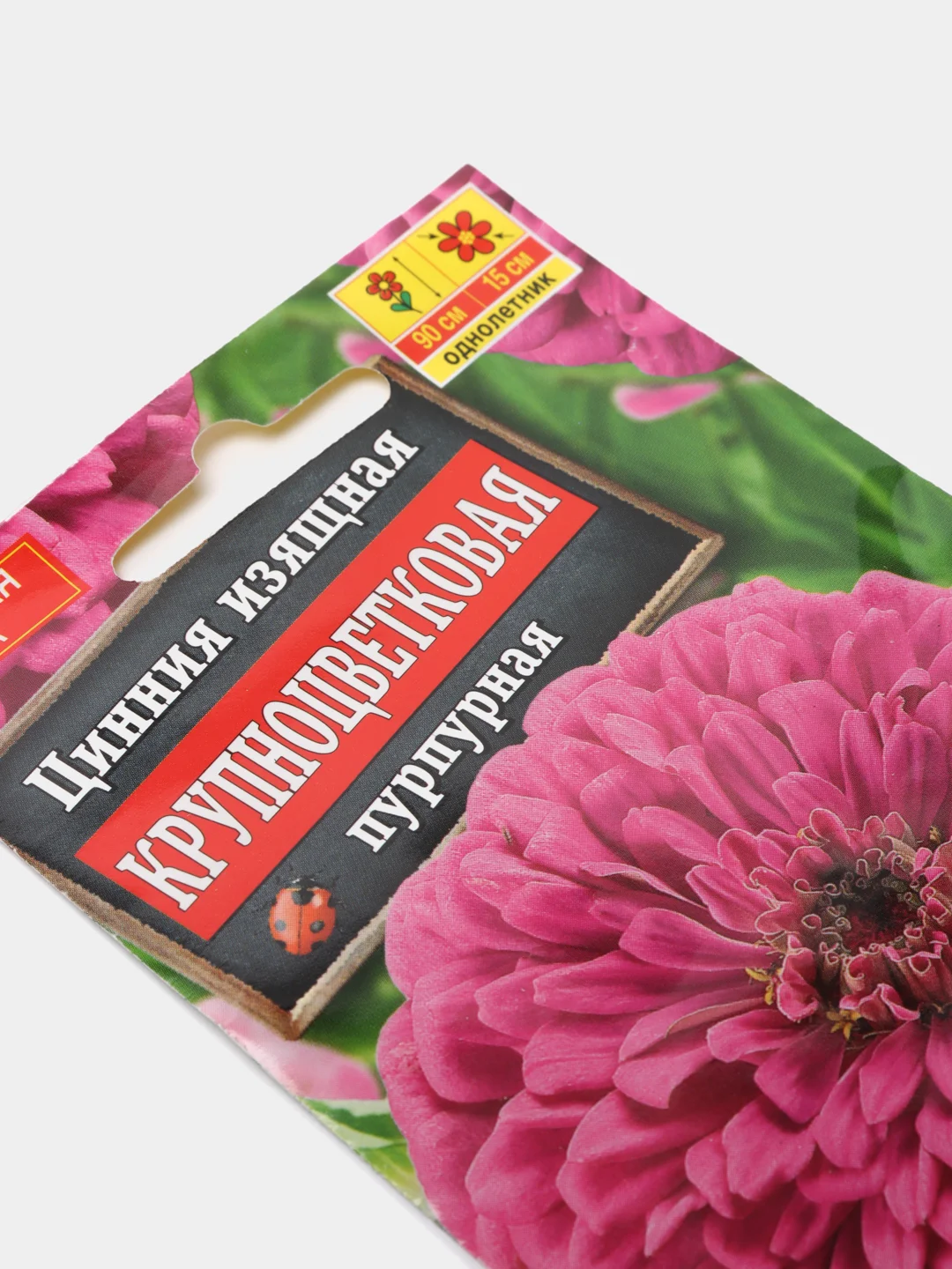 Семена Цинния изящная Крупноцветковая пурпурная