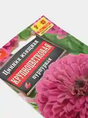 Семена Цинния изящная Крупноцветковая пурпурная