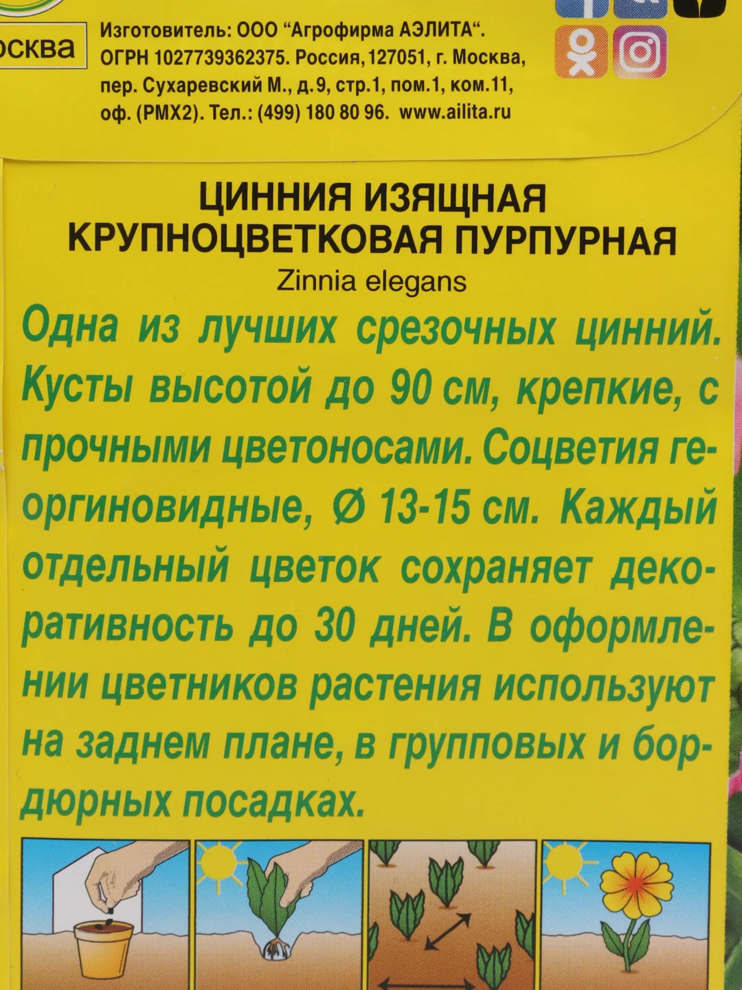Семена Цинния изящная Крупноцветковая пурпурная
