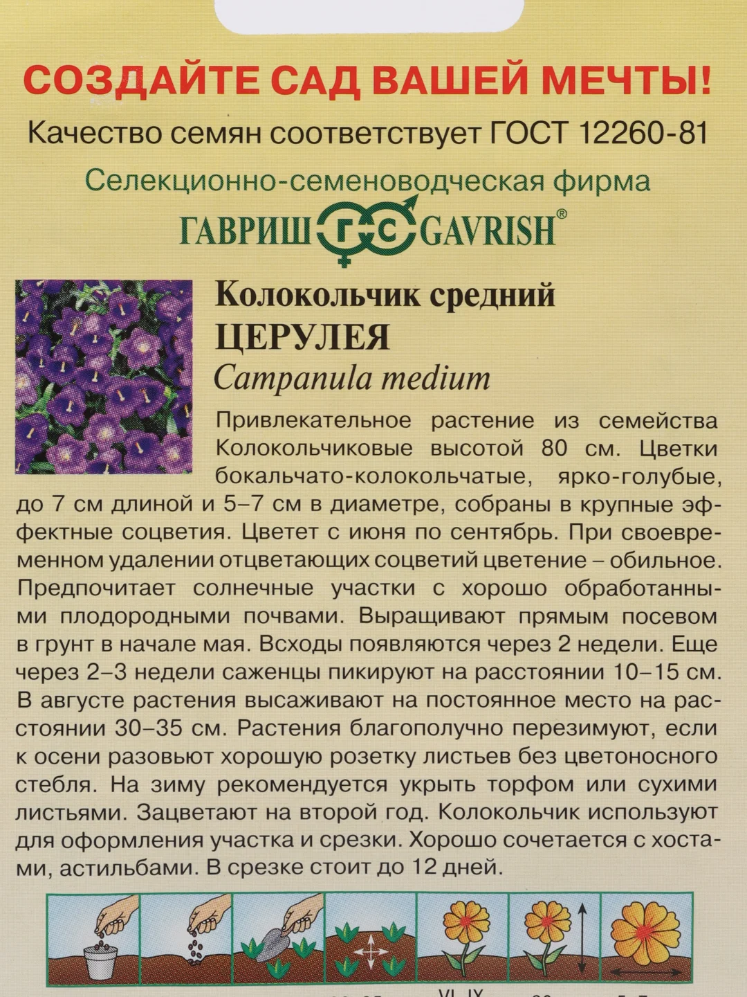 Семена Колокольчик (набор 2 уп) "Церулея"