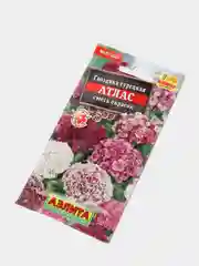 Семена Гвоздика турецкая махровая "Атлас" смесь сортов