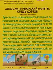 Семена Алиссум приморский (набор 2 уп) "Палетта" смесь сортов
