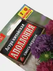 Семена Астра "Аполлония" смесь окрасок