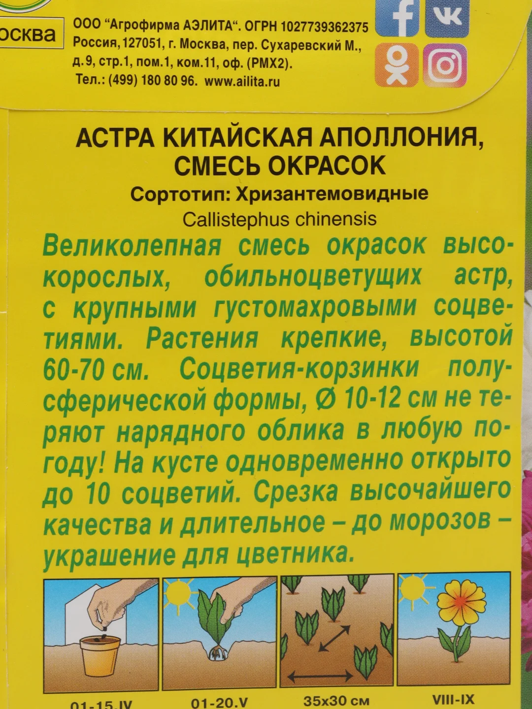 Семена Астра "Аполлония" смесь окрасок