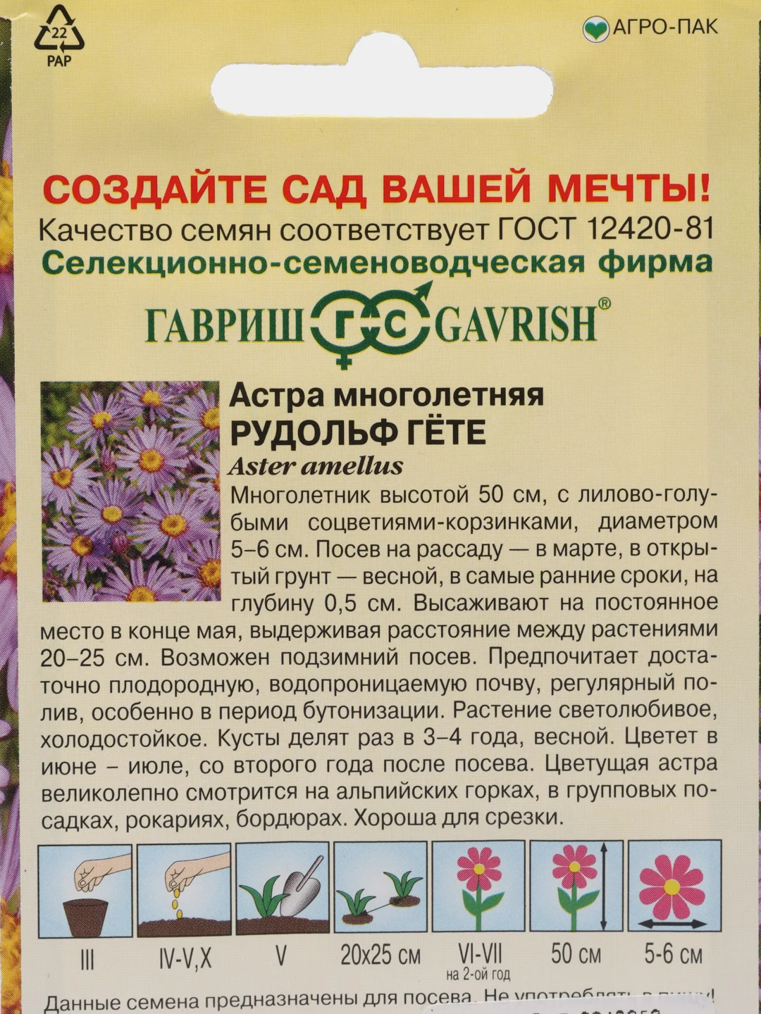 Семена Астра многолетняя "Рудольф Гете"