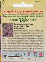 Семена Астра многолетняя "Рудольф Гете"