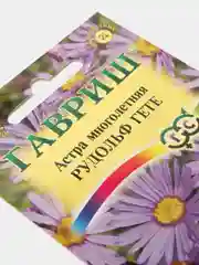 Семена Астра многолетняя "Рудольф Гете"