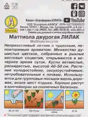 Семена Маттиола двурогая (набор 2 уп) "Лилак"