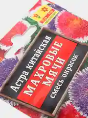 Семена Астра (набор 2 уп) "Махровые мячи" смесь окрасок