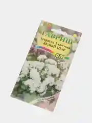 Набор 2шт Семена Агератум Белый шар