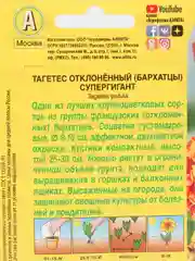 Семена Бархатцы (набор 2 уп) "Супергигант"