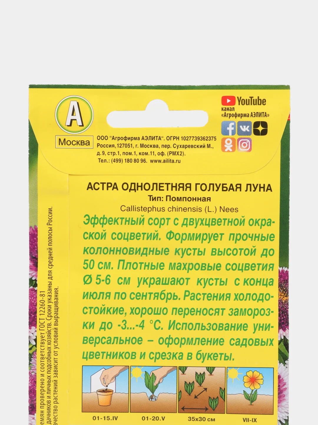 Семена Астра Голубая луна помпонная