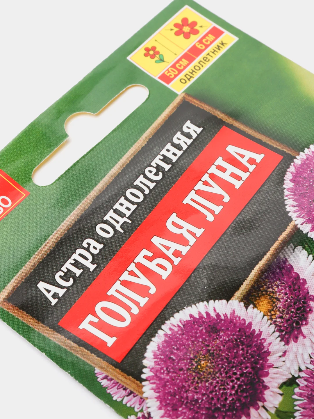 Семена Астра Голубая луна помпонная