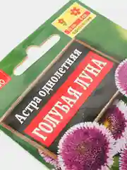 Семена Астра Голубая луна помпонная