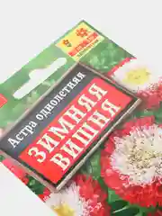 Семена Астра однолетняя "Зимняя вишня"