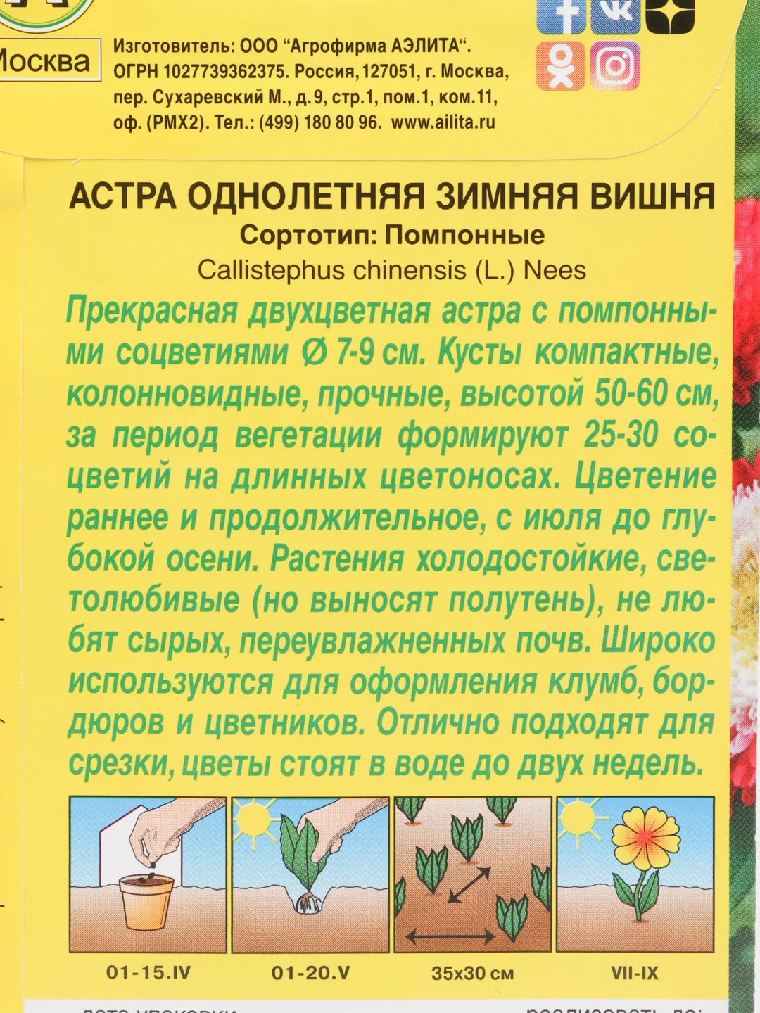 Семена Астра однолетняя "Зимняя вишня"