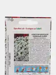 Семена Алиссум (набор 2 уп) "Снежный ковер"