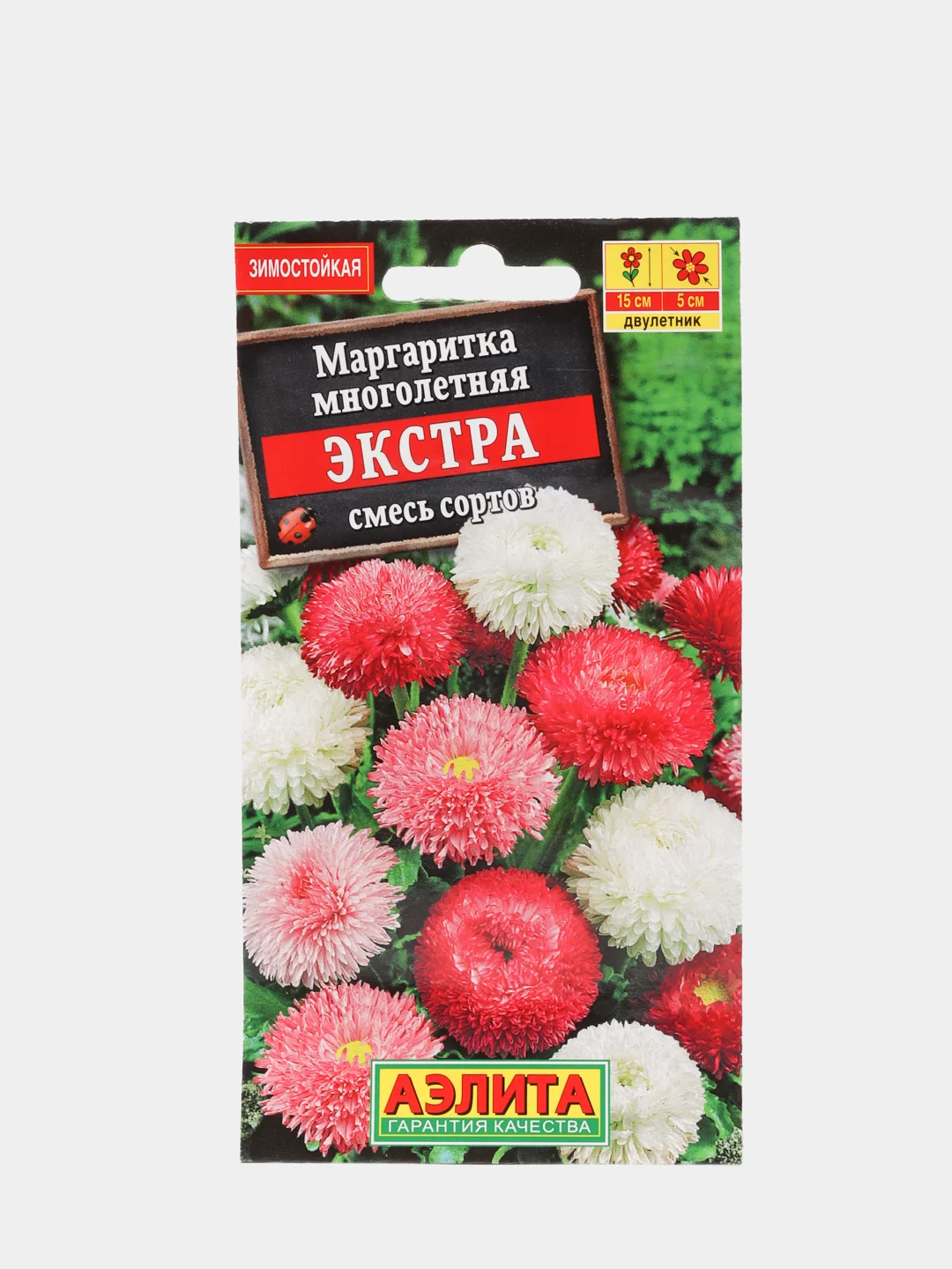 Маргаритки Семена Купить