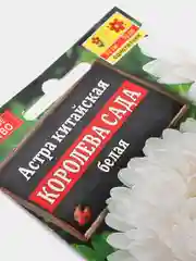 Семена Астра белая "Королева сада"