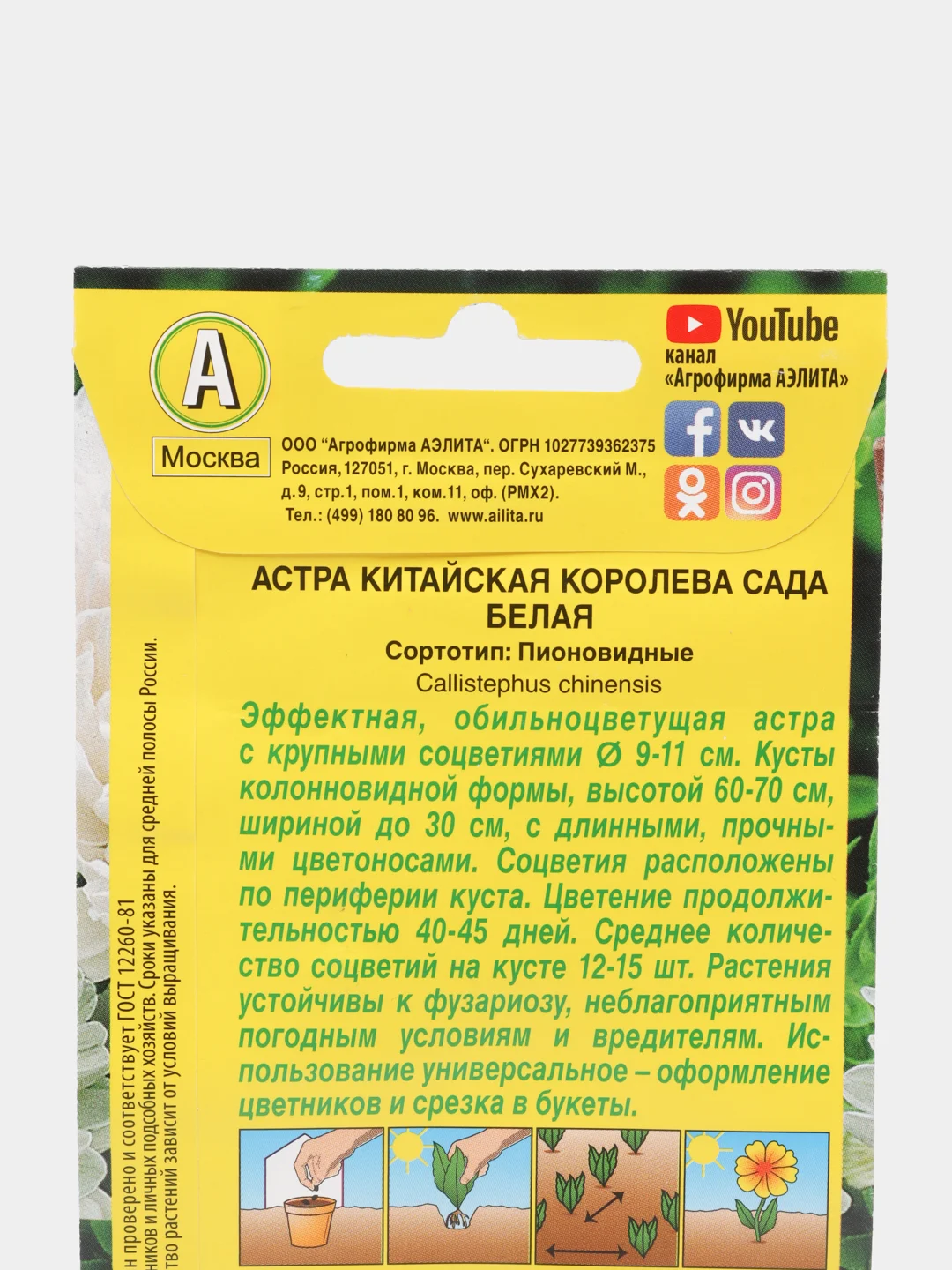 Семена Астра белая "Королева сада"