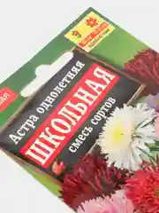 Семена Астра "Школьная" смесь окрасок