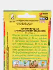 Семена Цинния изящная Крупноцветковая оранжевая набор 1, 3, 5 уп