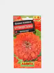 Семена Цинния изящная Крупноцветковая оранжевая набор 1, 3, 5 уп