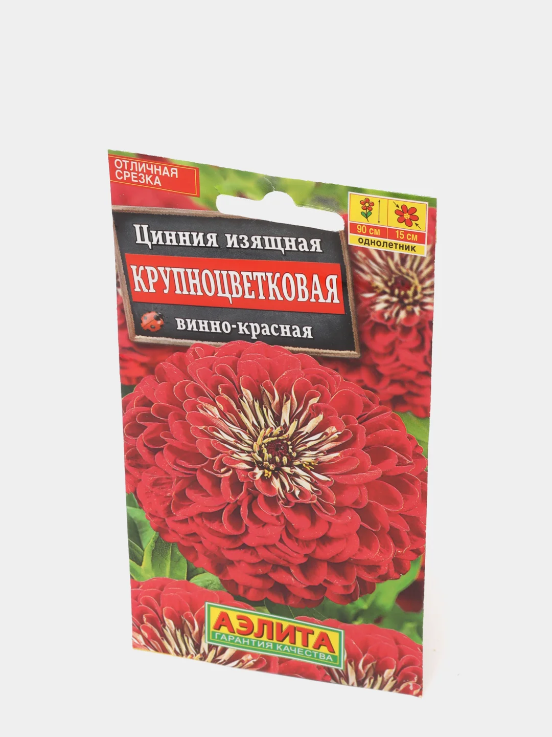 Цинния Крупноцветковая винно-красная