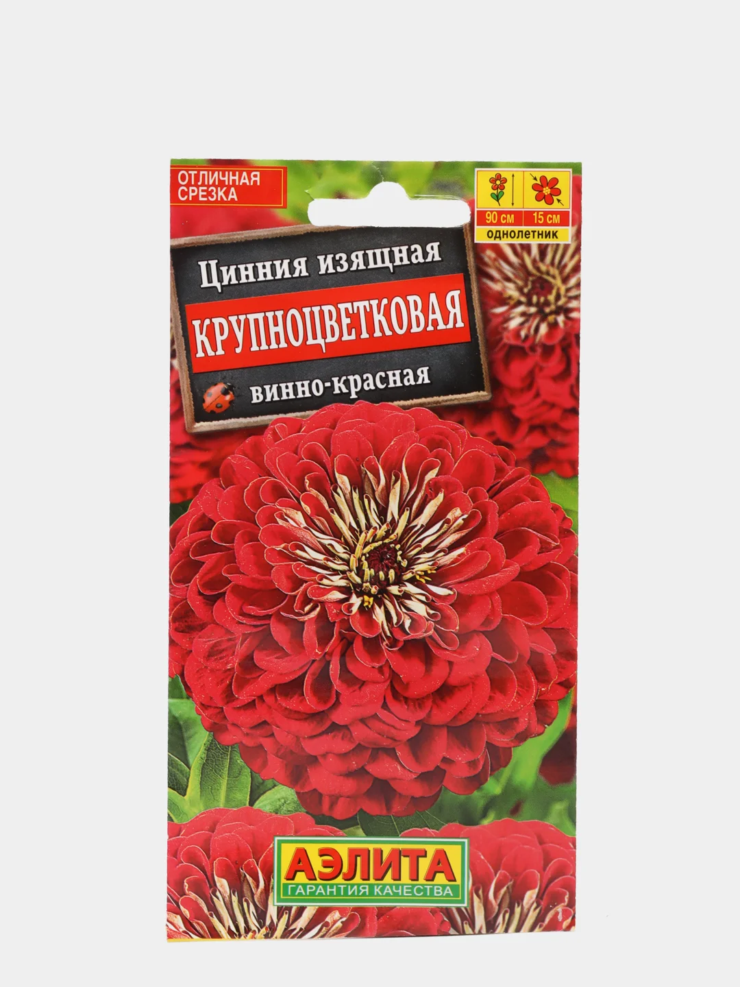 Цинния Крупноцветковая винно-красная
