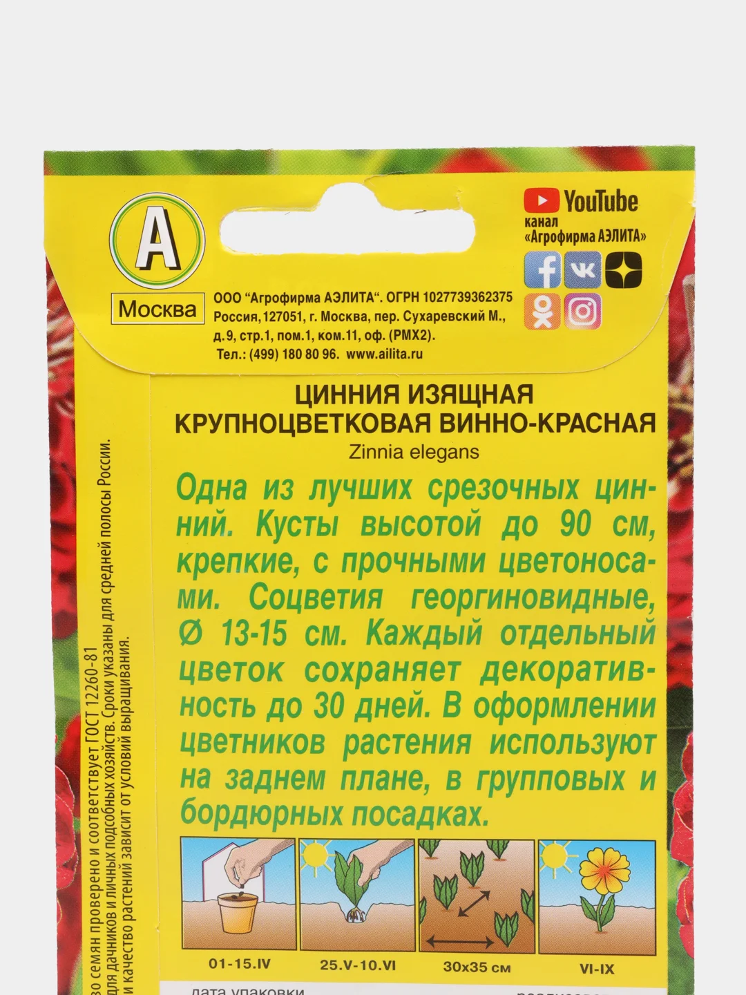 Цинния Крупноцветковая винно-красная