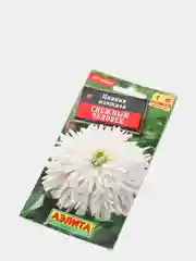 Семена Цинния кактусовидная "Снежный человек"