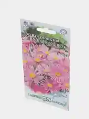 Семена Астра Альпийская Снежная королева