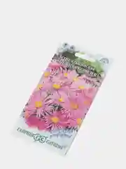 Семена Астра Альпийская Снежная королева