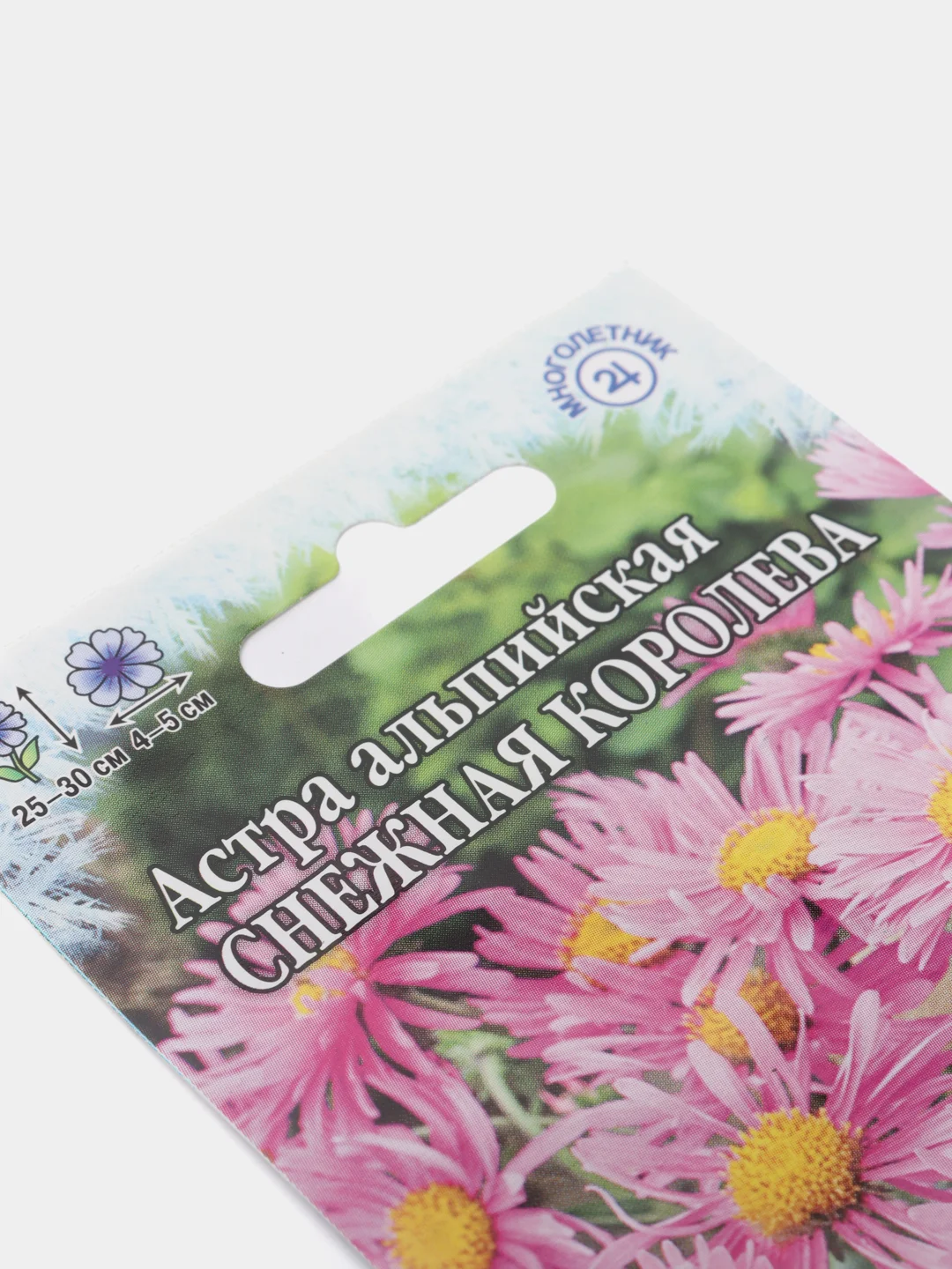 Семена Астра Альпийская Снежная королева