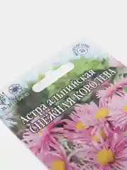 Семена Астра Альпийская Снежная королева