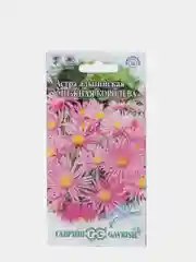 Семена Астра Альпийская Снежная королева