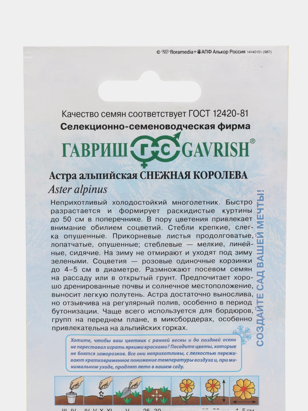 Семена Астра Альпийская Снежная королева