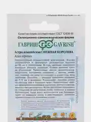 Семена Астра Альпийская Снежная королева