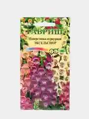Семена  Наперстянка  пурпурная  Эксельсиор